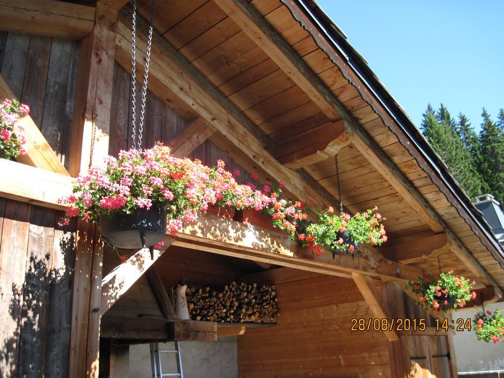 Hotel Le Tetras 2*